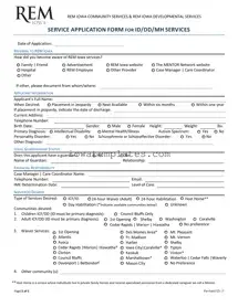 Printable Rem Iowa Service Application Form in PDF